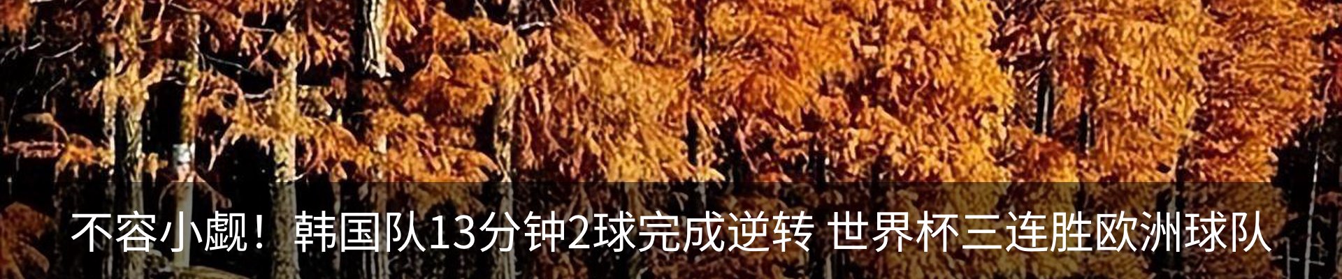 资讯动态
