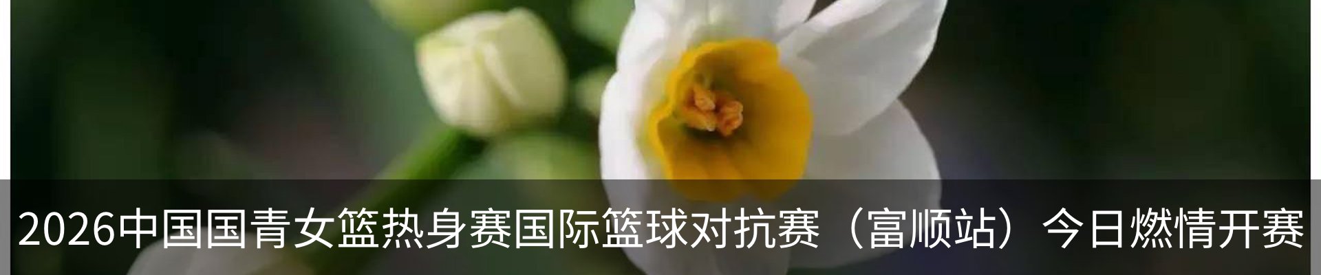 资讯动态